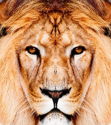 Similar image 11482121