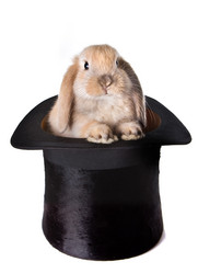 Similar image 11482127