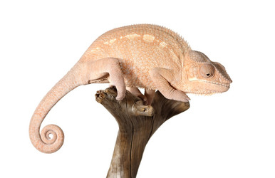 Similar image 11482128