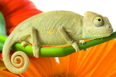 Similar image 11482133