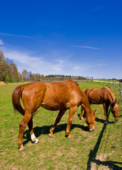 Similar image 11482141