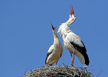 Similar image 11482144