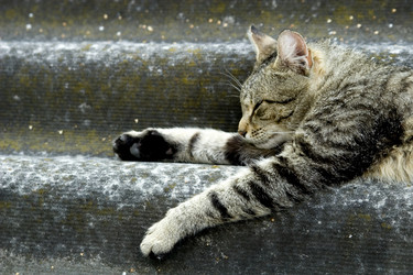 Similar image 11482152