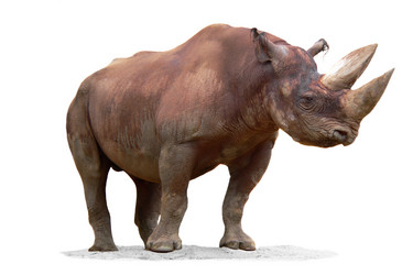 Similar image 11482043