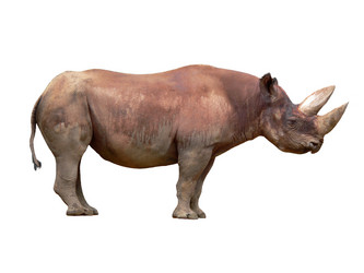 Similar image 11482064