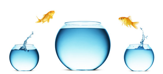 Similar image 11482865