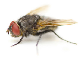 Similar image 11482875