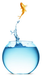 Similar image 11482086