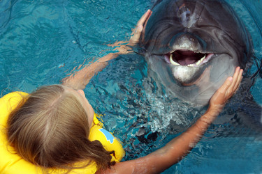 Similar image 11482088