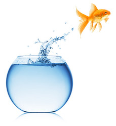 Similar image 11482089