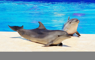 Similar image 11482091