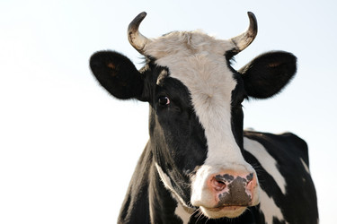 Similar image 11483865