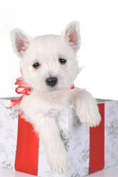 Similar image 11483868