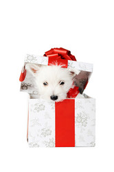 Similar image 11483881