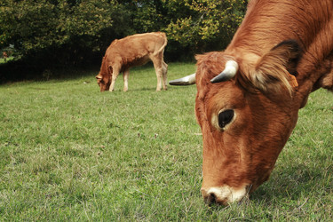 Similar image 11483899