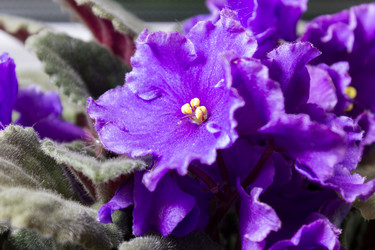 Similar image 11481684