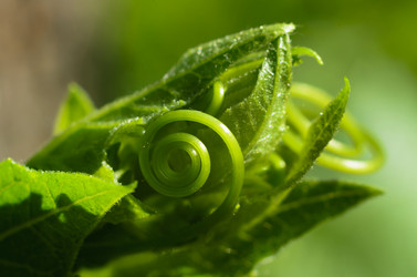 Similar image 11482173