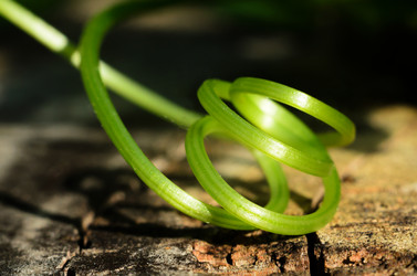 Similar image 11482174