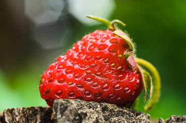 Similar image 11482175