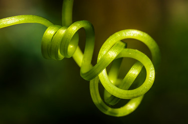 Similar image 11482176