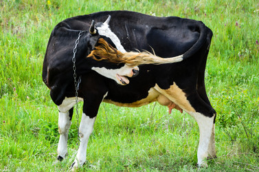 Similar image 11482167