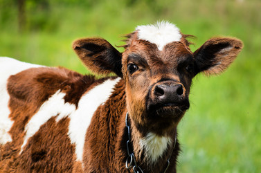 Similar image 11482168