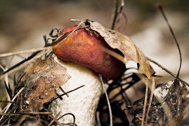 Similar image 11481825