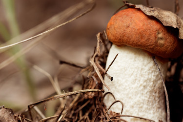 Similar image 11481826