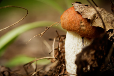 Similar image 11481828