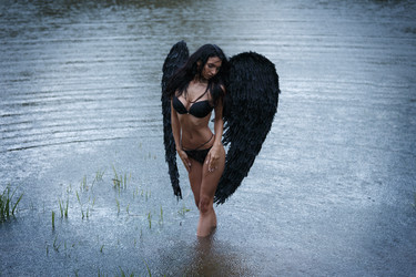 Similar image 11487837