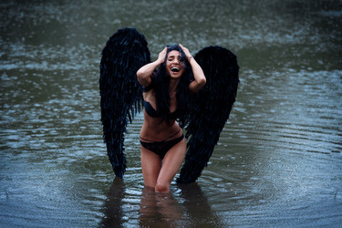 Similar image 11487840