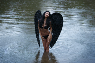 Similar image 11487854