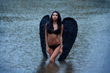 Similar image 11487857