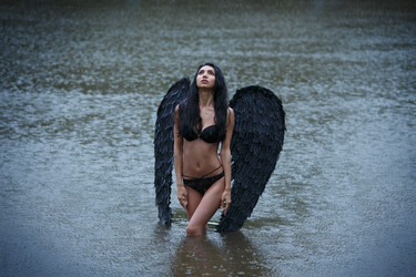 Similar image 11487884