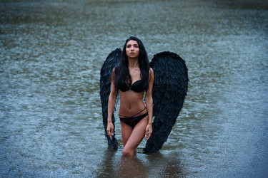 Similar image 11487886