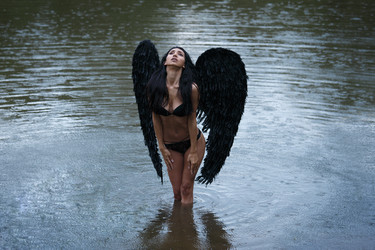 Similar image 11487794