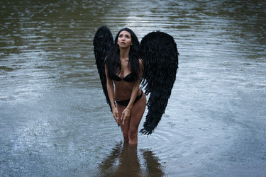 Similar image 11487795