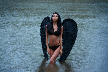 Similar image 11487827