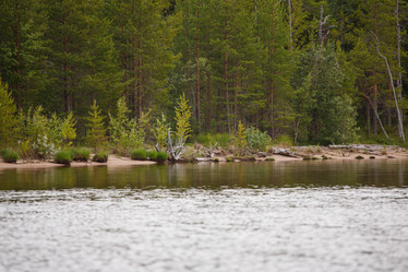 Similar image 11491109