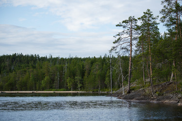 Similar image 11491111