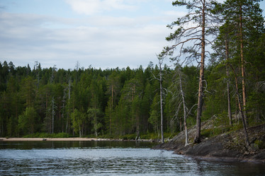 Similar image 11491112