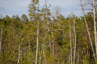 Similar image 11491113