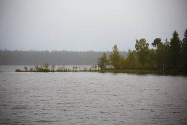 Similar image 11491128