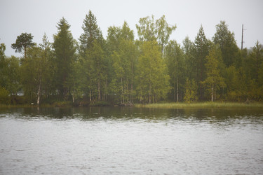 Similar image 11491130