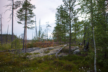 Similar image 11491132