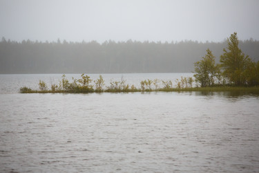 Similar image 11491137