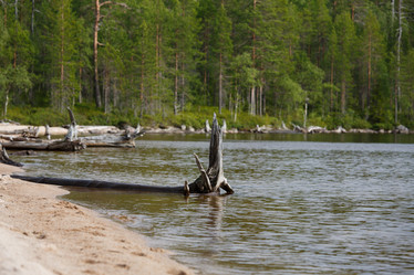 Similar image 11491138