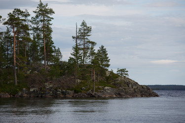 Similar image 11491139