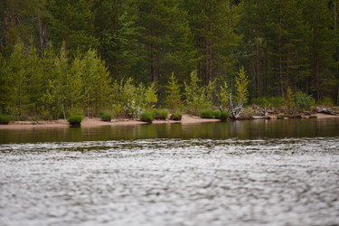 Similar image 11491141