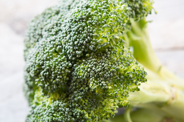 Similar image 11482018